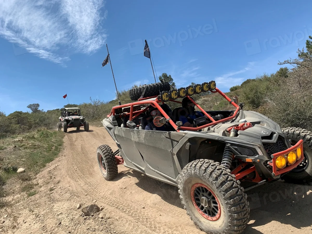 Buggy Safari