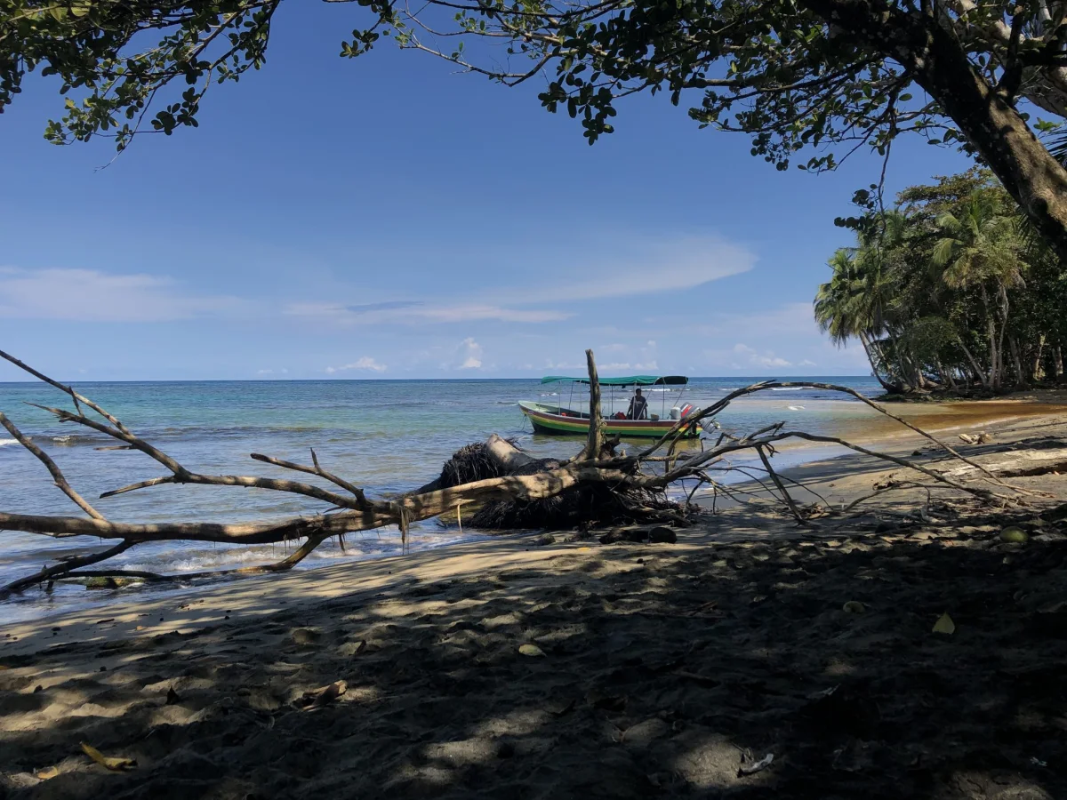 Sulu Ada Turu